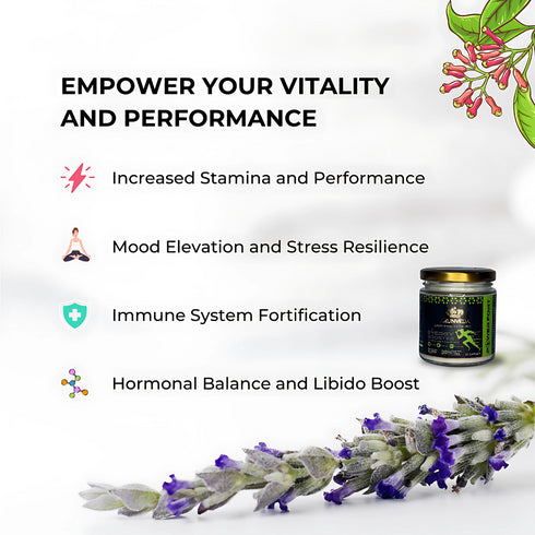 Arunveda Energy Kit